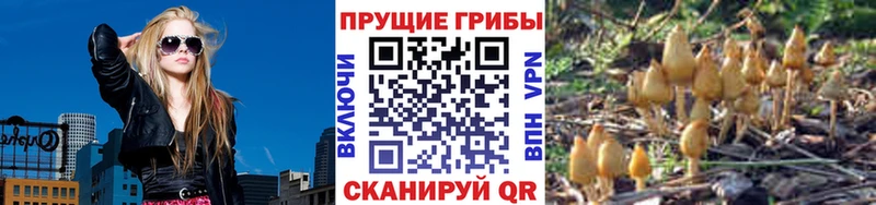 Галлюциногенные грибы GOLDEN TEACHER  Купить где  Западная Двина 